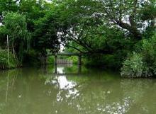 寧波到廈門鼓浪嶼旅游 - 暢游鼓浪嶼與沙家浜的完美線路