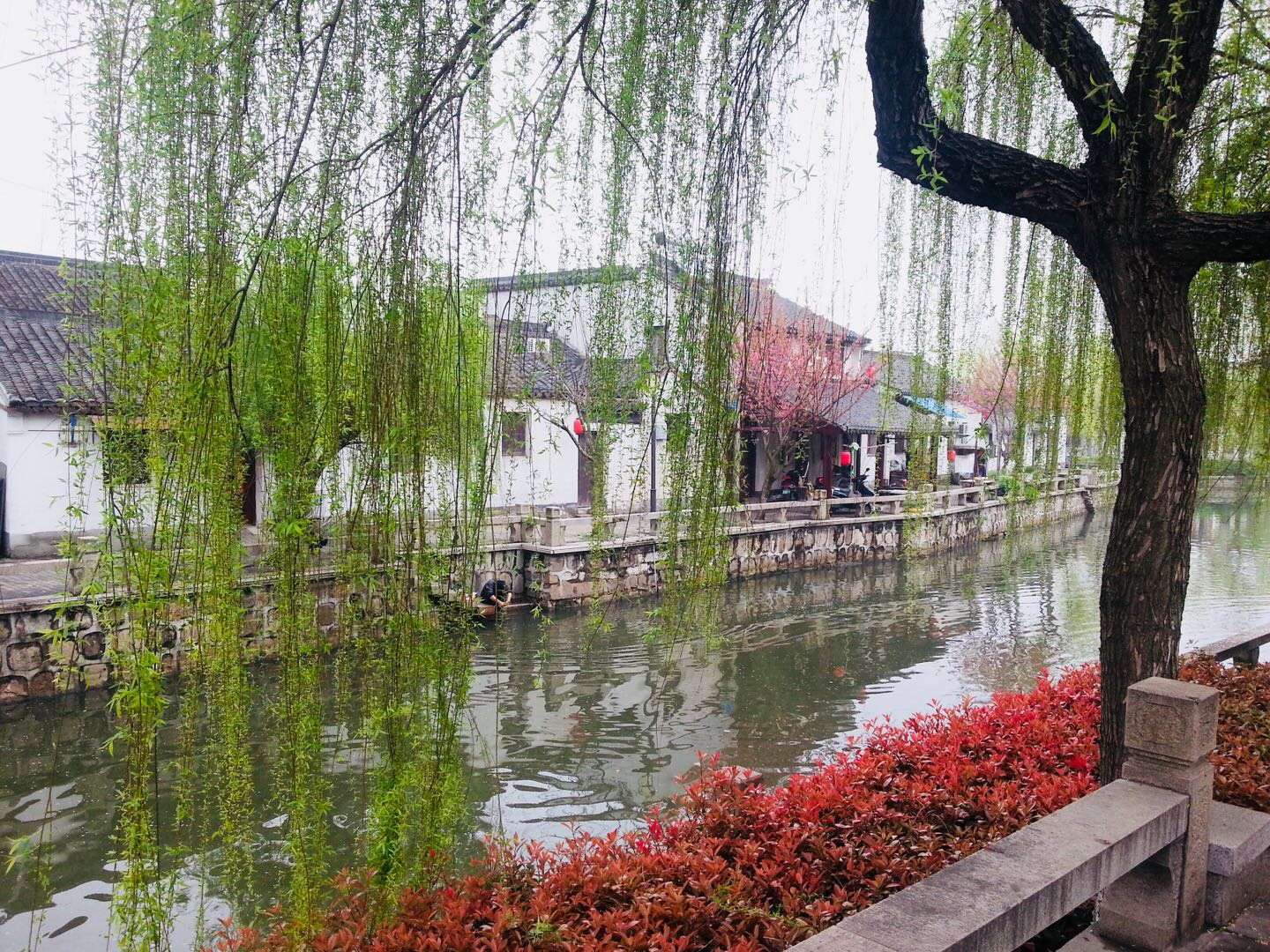 深度旅游沙家浜 從歷史深處走來(lái)的另一種體驗(yàn)