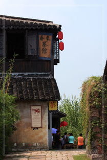 沙家浜游記——常熟水鄉(xiāng)風(fēng)韻與紅色記憶的完美交融