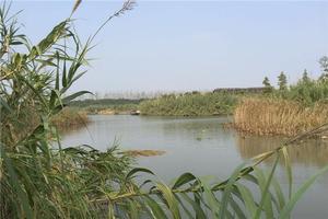 沙家浜風(fēng)景區(qū)全攻略 門(mén)票、地址、亮點(diǎn)與游玩路線一網(wǎng)打盡